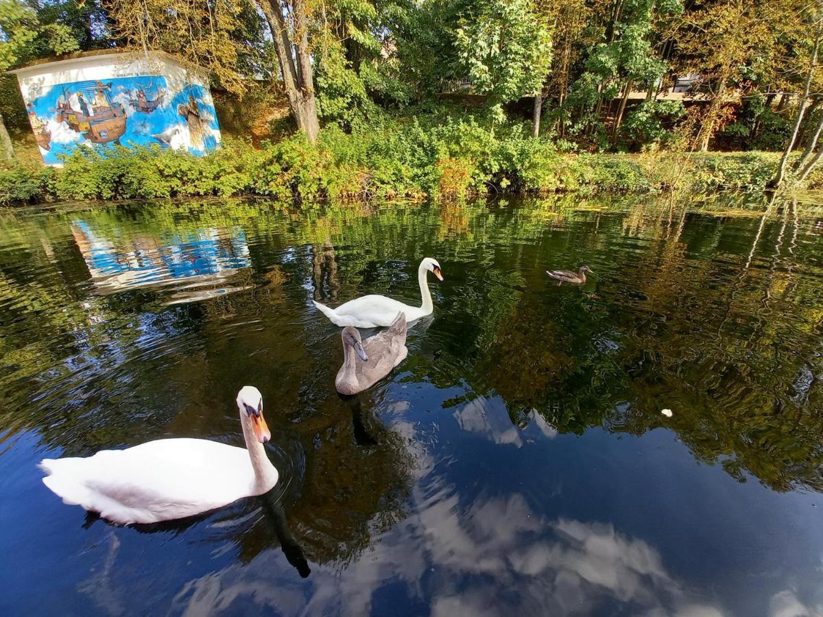 Appartement Atypique Independant Sur Peniche Metz Eksteriør billede