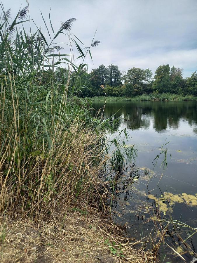 Appartement Atypique Independant Sur Peniche Metz Eksteriør billede