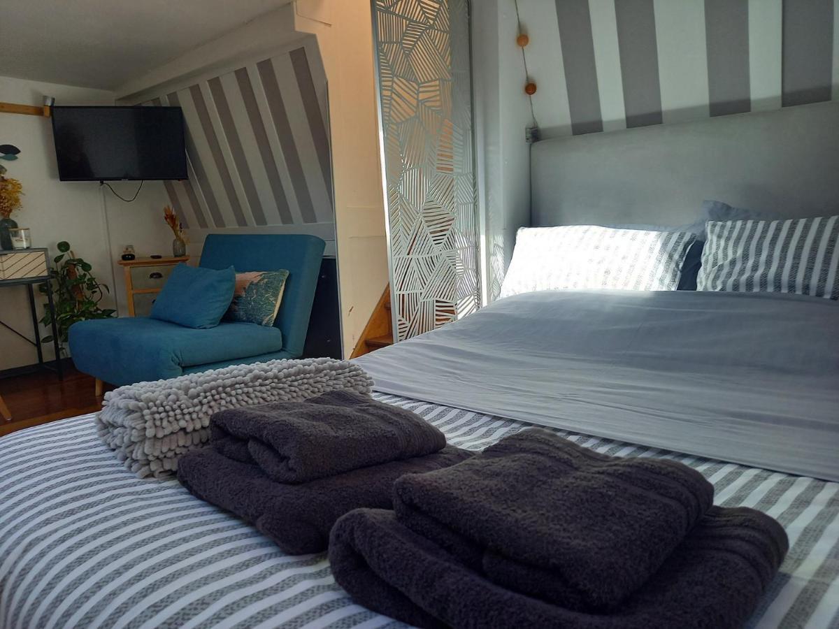 Appartement Atypique Independant Sur Peniche Metz Eksteriør billede